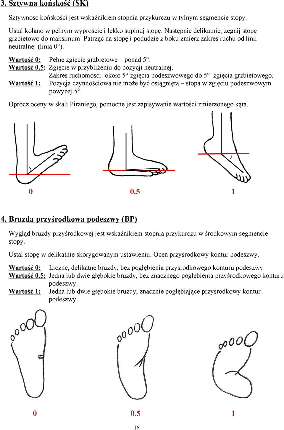 Wartość 0.5: Zgięcie w przybliżeniu do pozycji neutralnej. Zakres ruchomości: około 5 zgięcia podeszwowego do 5 zgięcia grzbietowego.