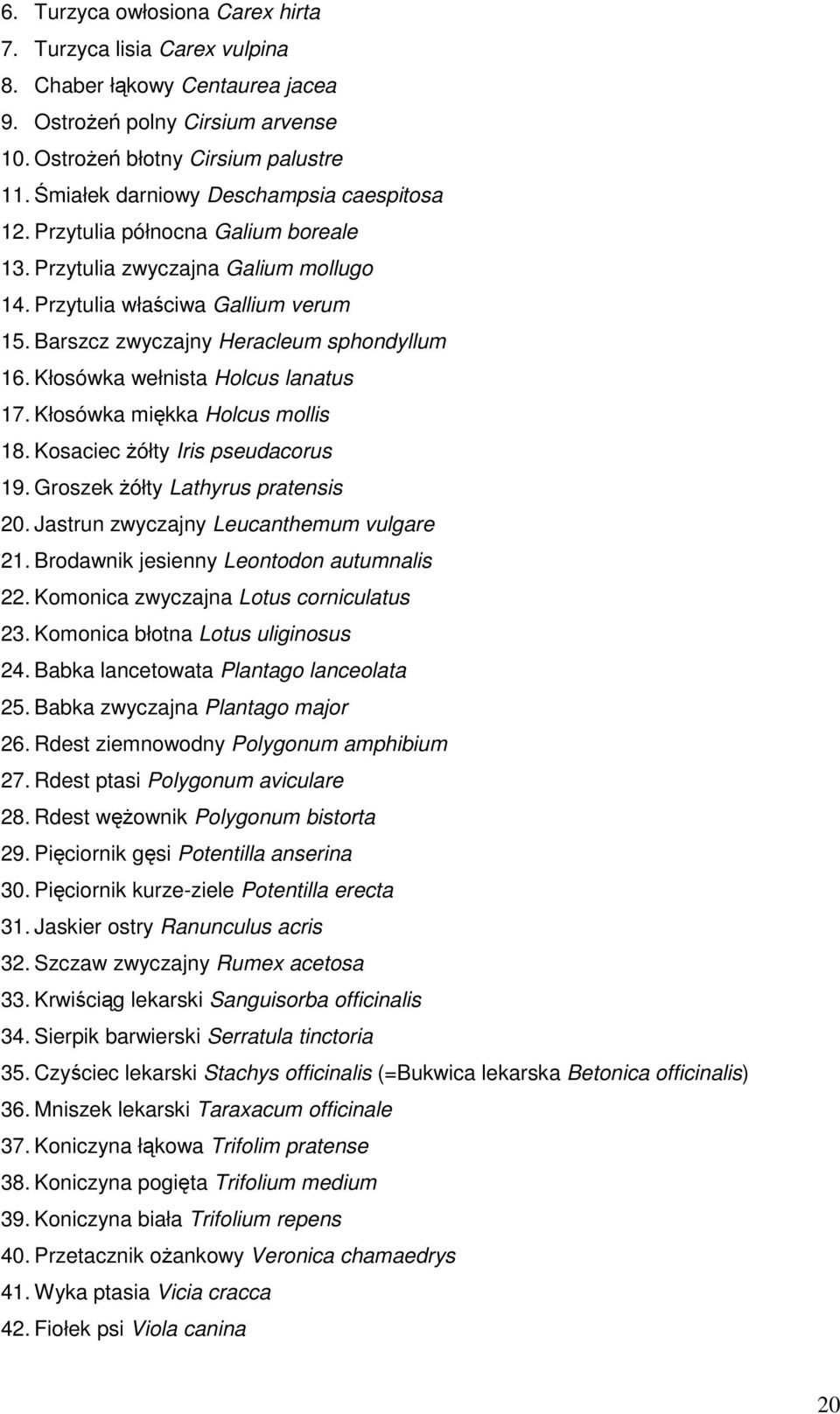 Barszcz zwyczajny Heracleum sphondyllum 16. Kłosówka wełnista Holcus lanatus 17. Kłosówka miękka Holcus mollis 18. Kosaciec Ŝółty Iris pseudacorus 19. Groszek Ŝółty Lathyrus pratensis 20.