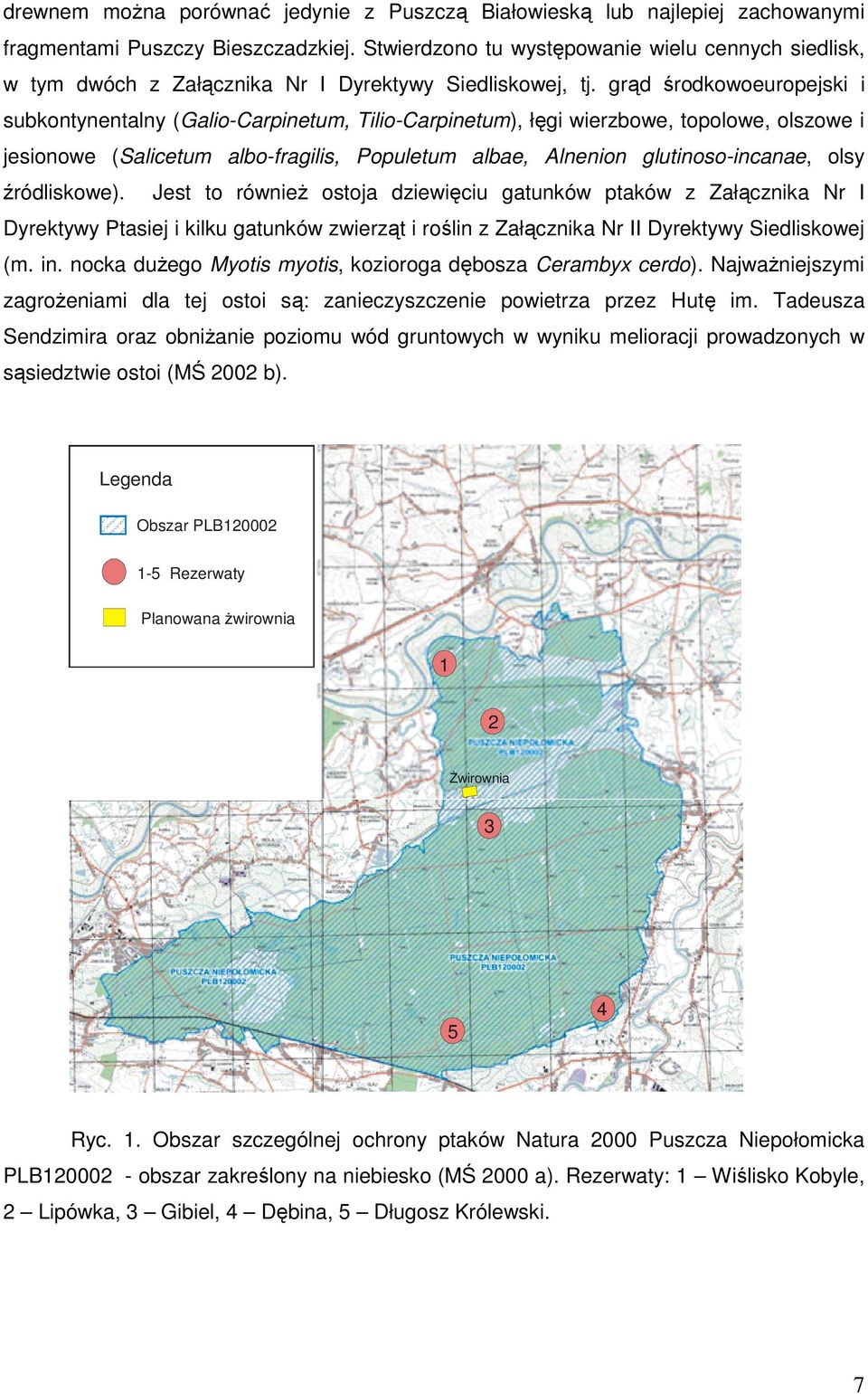 grąd środkowoeuropejski i subkontynentalny (Galio-Carpinetum, Tilio-Carpinetum), łęgi wierzbowe, topolowe, olszowe i jesionowe (Salicetum albo-fragilis, Populetum albae, Alnenion glutinoso-incanae,