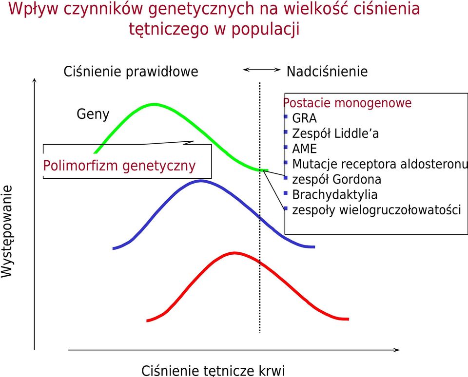 Polimorfizm genetyczny Postacie monogenowe GRA Zespół Liddle a AME Mutacje