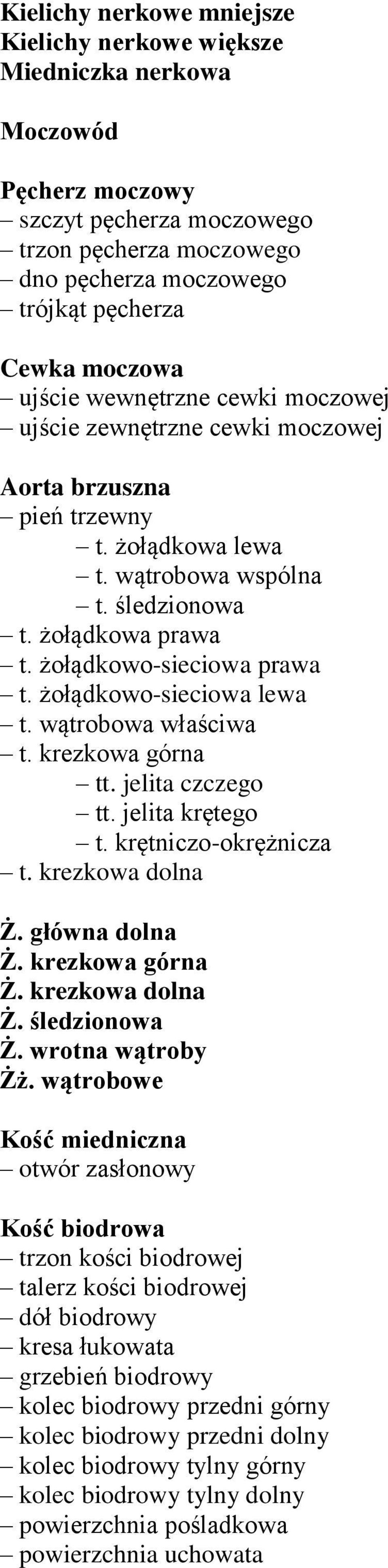 żołądkowo-sieciowa lewa t. wątrobowa właściwa t. krezkowa górna tt. jelita czczego tt. jelita krętego t. krętniczo-okrężnicza t. krezkowa dolna Ż. główna dolna Ż. krezkowa górna Ż. krezkowa dolna Ż. śledzionowa Ż.