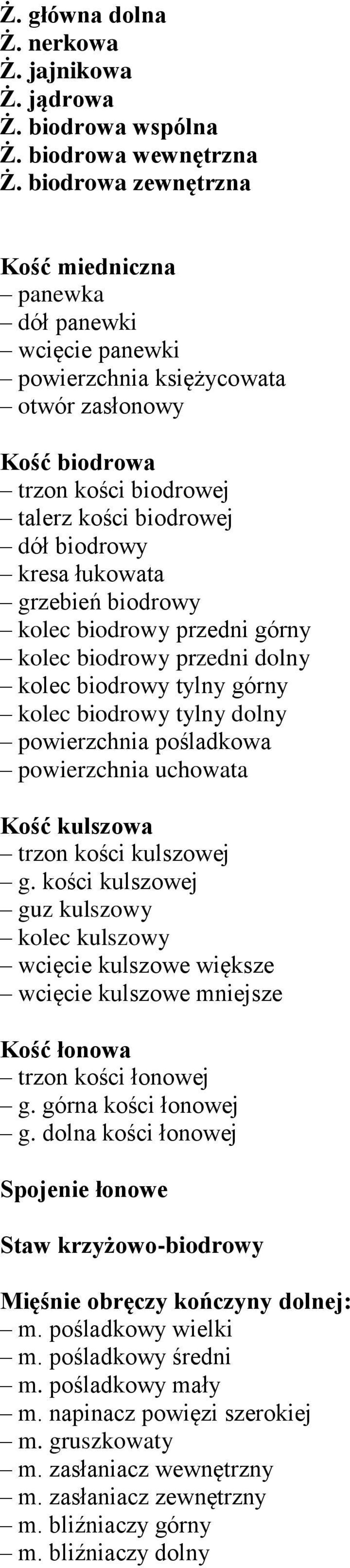 łukowata grzebień biodrowy kolec biodrowy przedni górny kolec biodrowy przedni dolny kolec biodrowy tylny górny kolec biodrowy tylny dolny powierzchnia pośladkowa powierzchnia uchowata Kość kulszowa