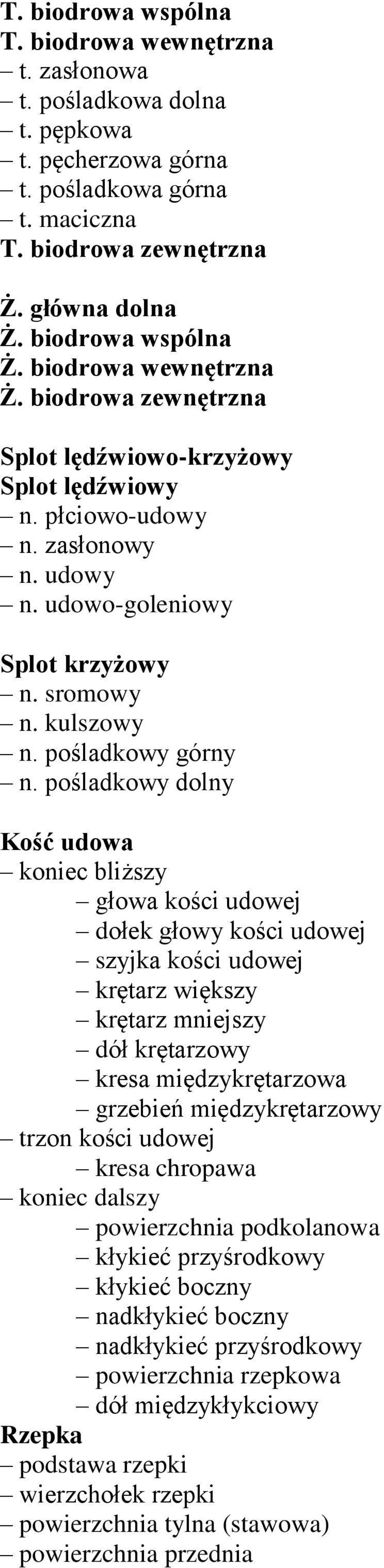 pośladkowy górny n.