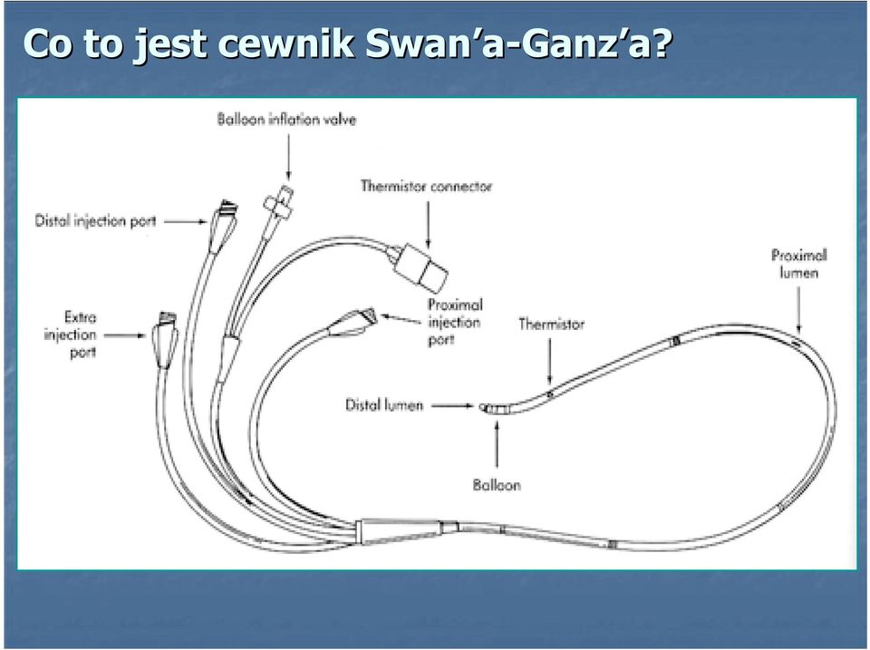 cewnik
