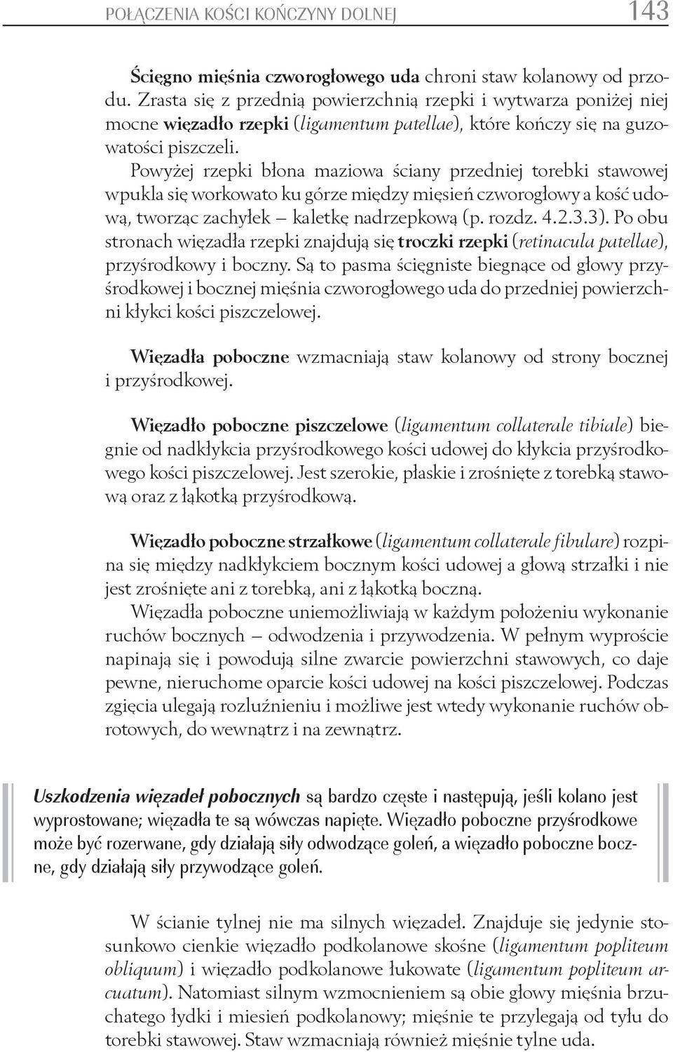 Powyżej rzepki błona maziowa ściany przedniej torebki stawowej wpukla się workowato ku górze między mięsień czworogłowy a kość udową, tworząc zachyłek kaletkę nadrzepkową (p. rozdz. 4.2.3.3).