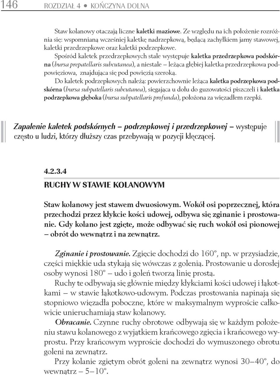 Spośród kaletek przedrzepkowych stale występuje kaletka przedrzepkowa podskórna (bursa prepatellaris subcutanea), a niestale leżąca głębiej kaletka przedrzepkowa podpowięziowa, znajdująca się pod