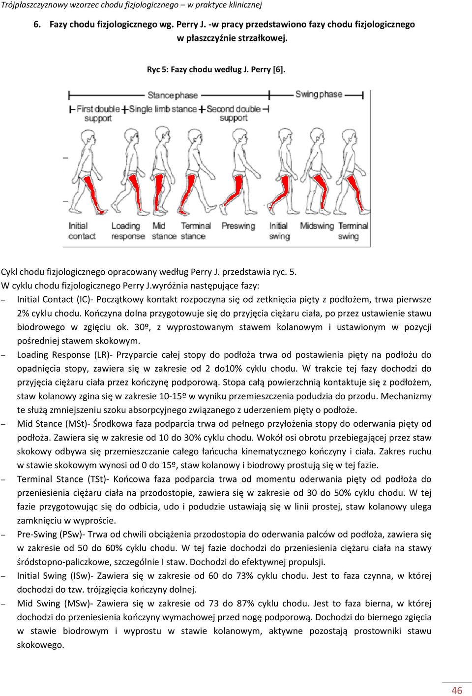 wyróżnia następujące fazy: Initial Contact (IC)- Początkowy kontakt rozpoczyna się od zetknięcia pięty z podłożem, trwa pierwsze 2% cyklu chodu.