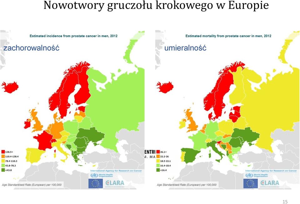 krokowego w