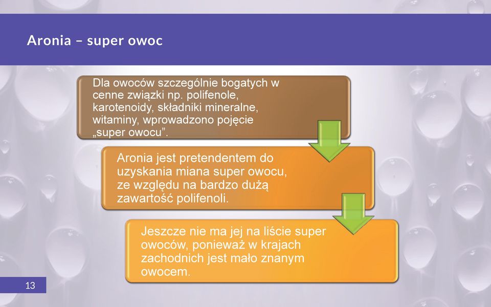 Aronia jest pretendentem do uzyskania miana super owocu, ze względu na bardzo dużą