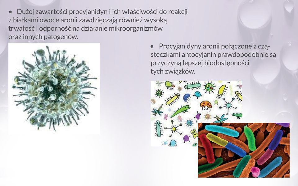 mikroorganizmów oraz innych patogenów.
