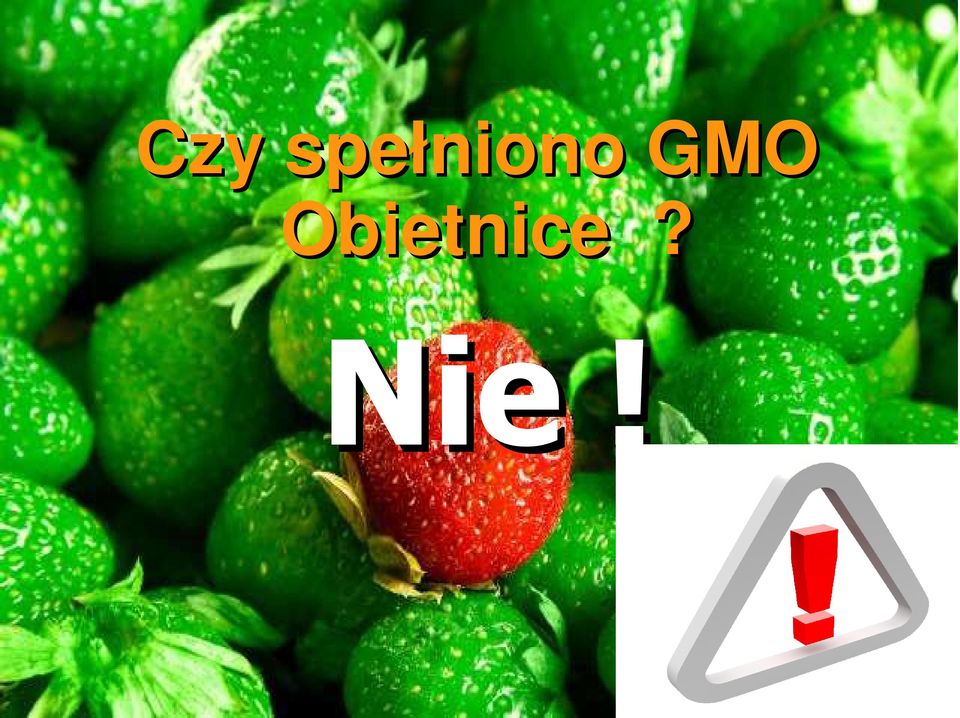 GMO