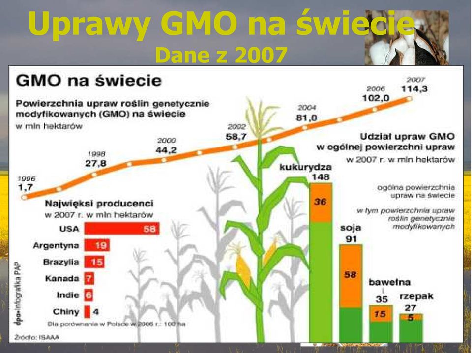 Kukurydza 73% Bawełna