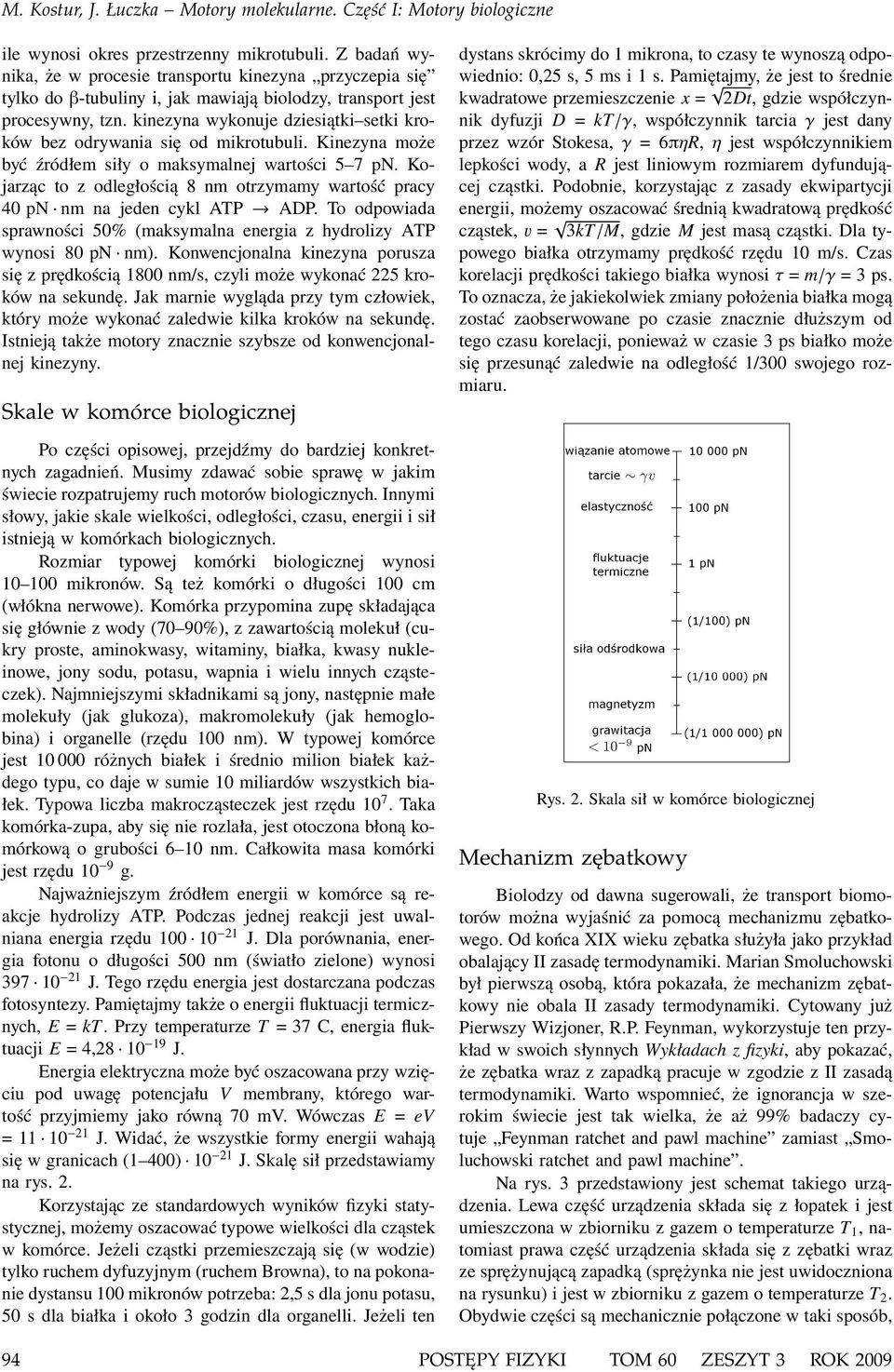 Kojarząc to z odległością 8 nm otrzymamy wartość pracy 40 pn nm na jeden cykl ATP ADP. To odpowiada sprawności 50% (maksymalna energia z hydrolizy ATP wynosi 80 pn nm).