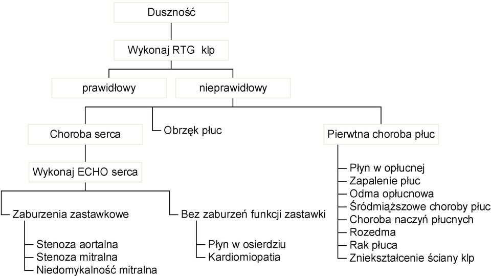 Bez zaburzeń funkcji zastawki Płyn w osierdziu Kardiomiopatia Płyn w opłucnej Zapalenie płuc Odma