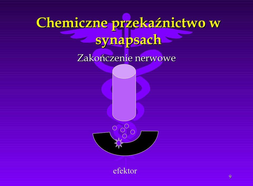 synapsach