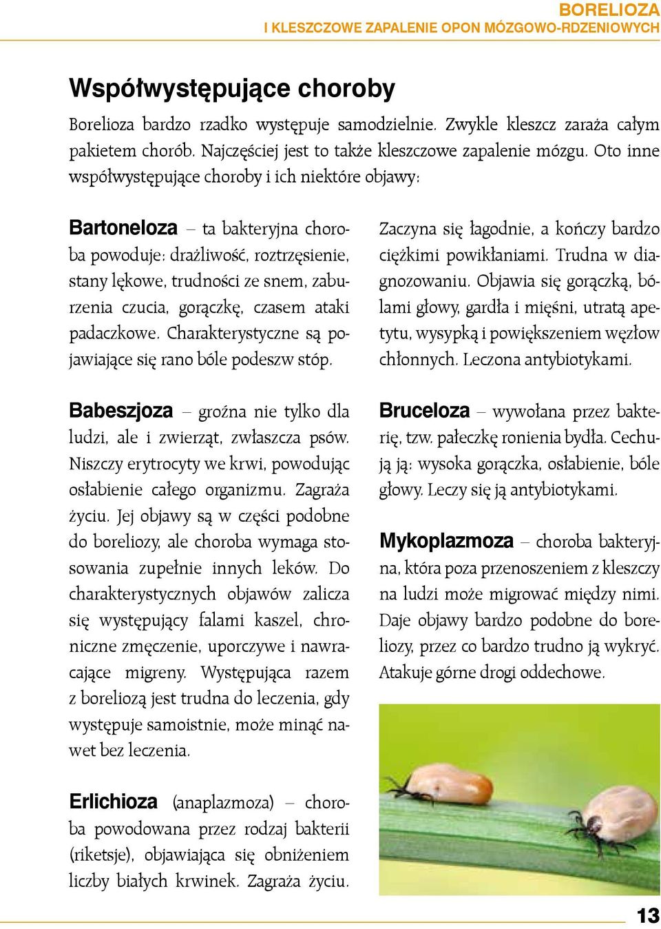 Oto inne współwystępujące choroby i ich niektóre objawy: Bartoneloza ta bakteryjna choroba powoduje: drażliwość, roztrzęsienie, stany lękowe, trudności ze snem, zaburzenia czucia, gorączkę, czasem
