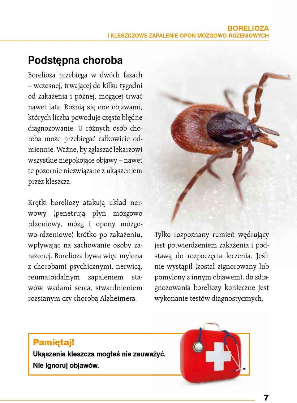 Ważne, by zgłaszać lekarzowi wszystkie niepokojące objawy nawet te pozornie niezwiązane z ukąszeniem przez kleszcza.