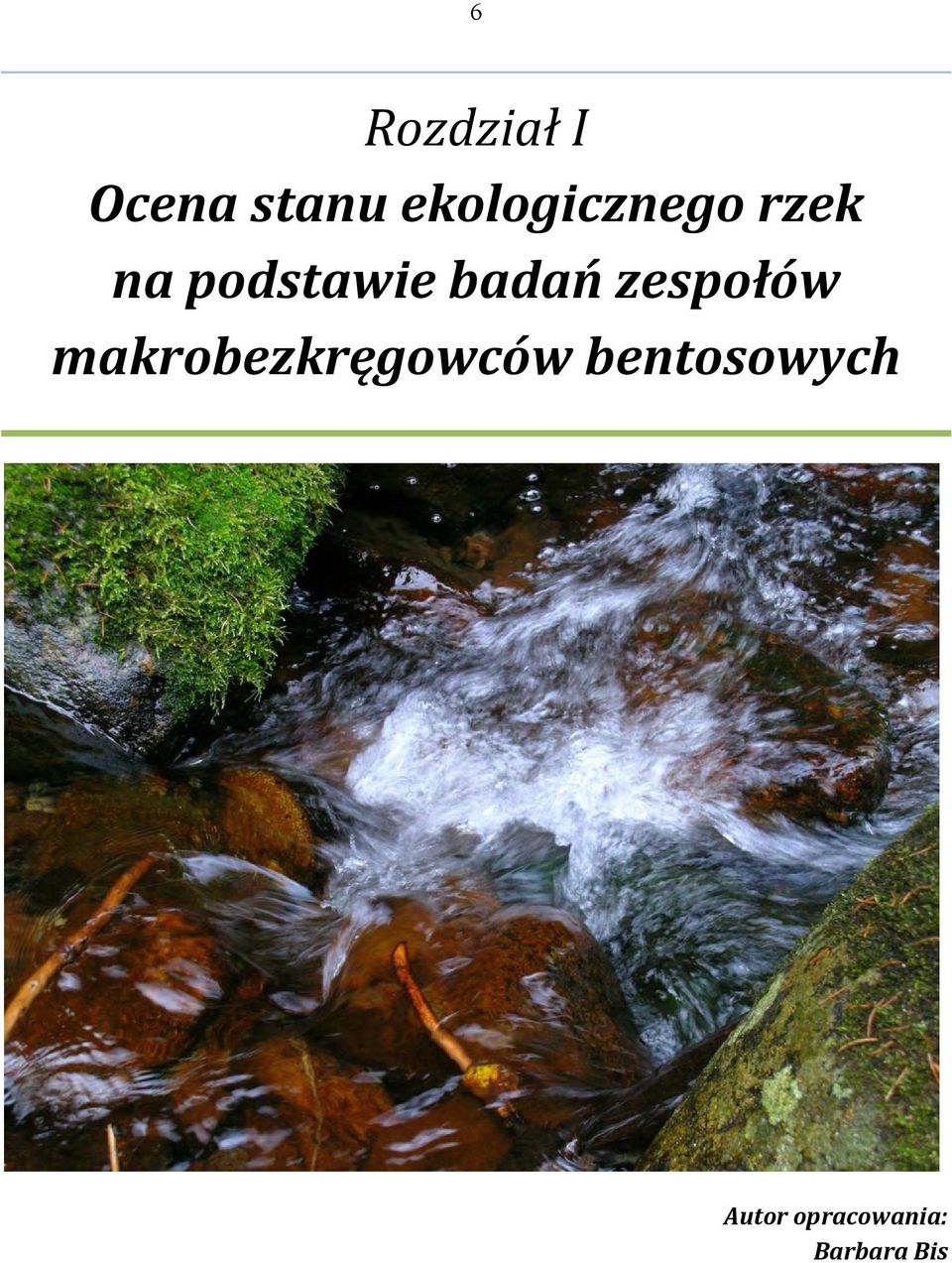 badań zespołów makrobezkręgowców