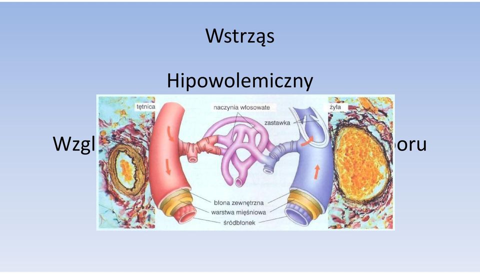 Względny,