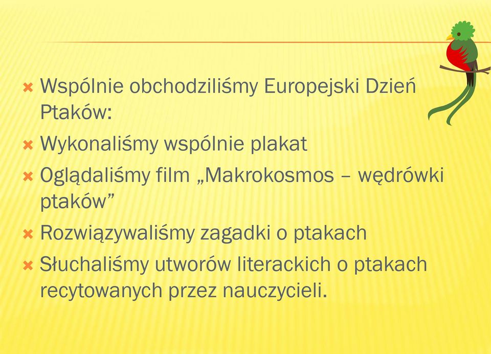 wędrówki ptaków Rozwiązywaliśmy zagadki o ptakach