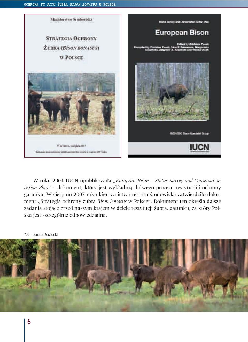 W sierpniu 2007 roku kierownictwo resortu środowiska zatwierdziło dokument Strategia ochrony żubra Bison bonasus w Polsce.