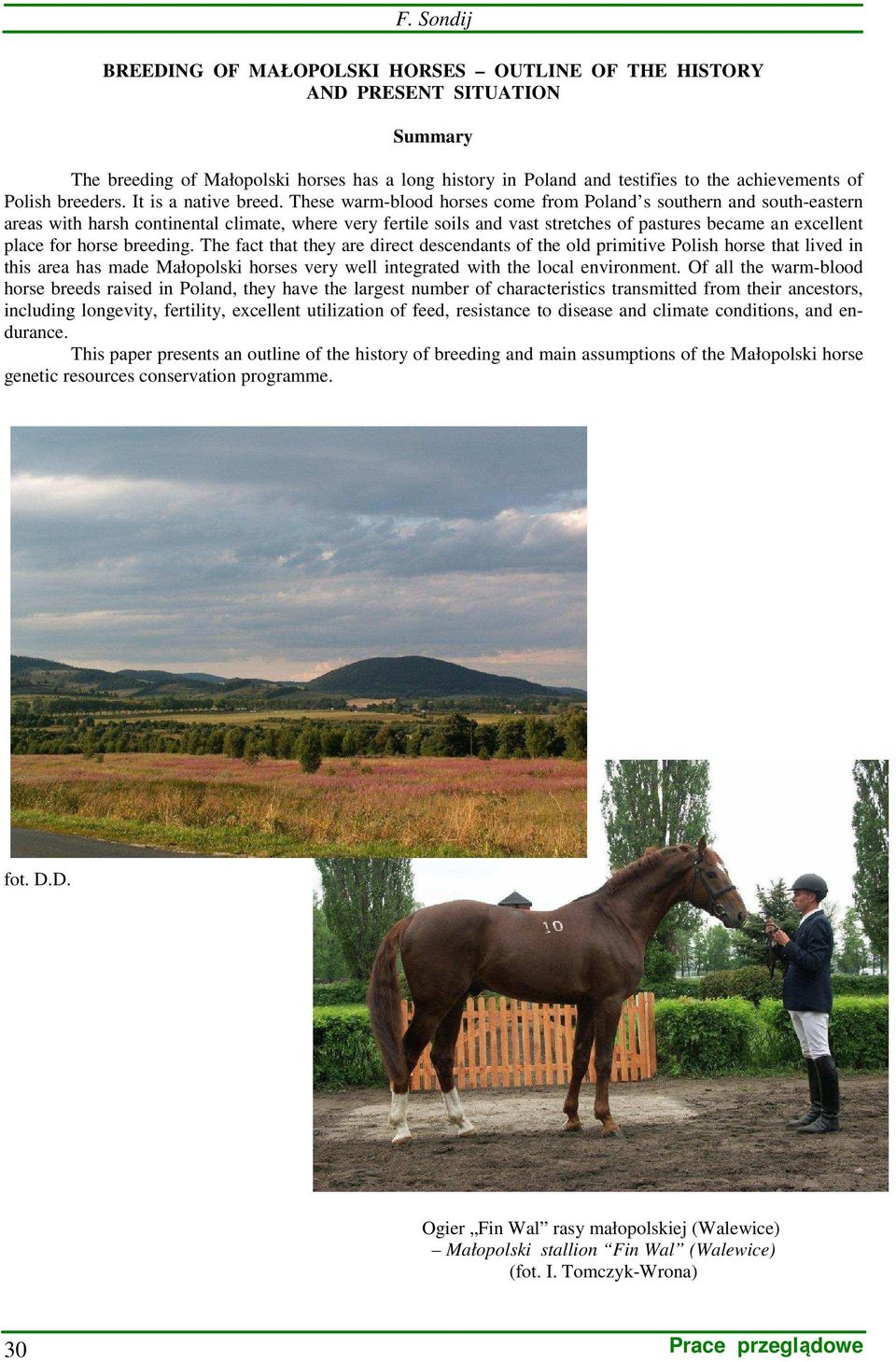 These warm-blood horses come from Poland s southern and south-eastern areas with harsh continental climate, where very fertile soils and vast stretches of pastures became an excellent place for horse