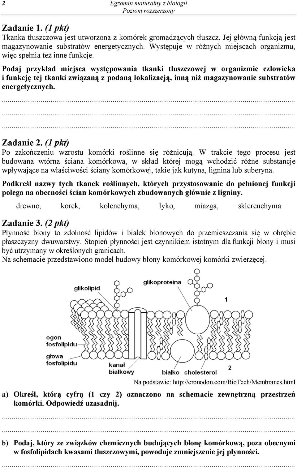 Podaj przykład miejsca występowania tkanki tłuszczowej w organizmie człowieka i funkcję tej tkanki związaną z podaną lokalizacją, inną niż magazynowanie substratów energetycznych. Zadanie 2.