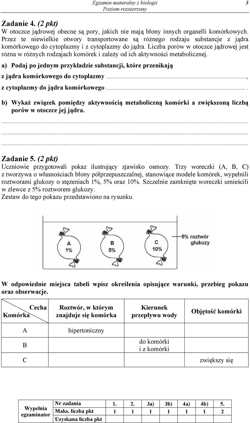 Liczba porów w otoczce jądrowej jest różna w różnych rodzajach komórek i zależy od ich aktywności metabolicznej.