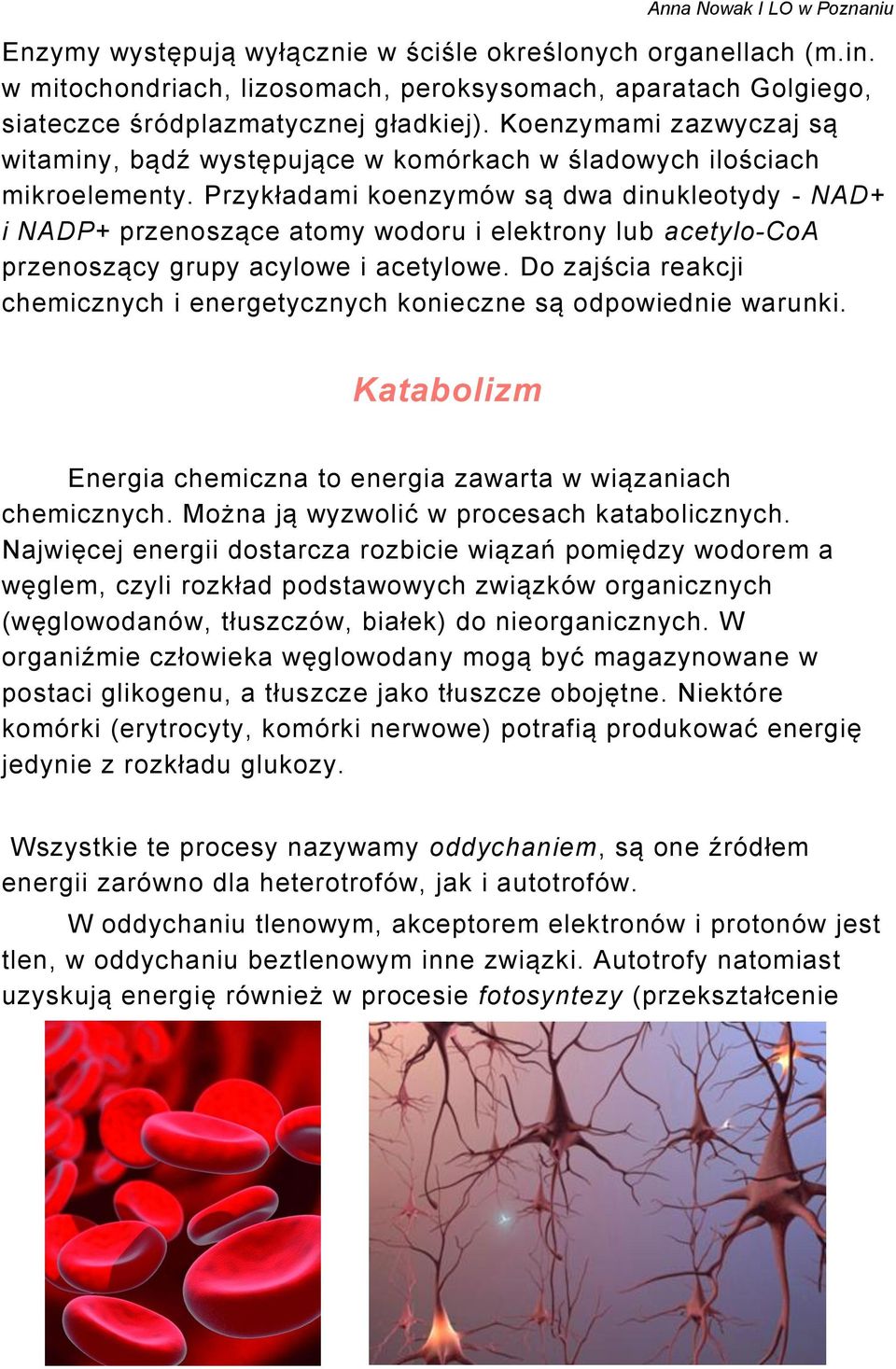 Przykładami koenzymów są dwa dinukleotydy - NAD+ i NADP+ przenoszące atomy wodoru i elektrony lub acetylo-coa przenoszący grupy acylowe i acetylowe.