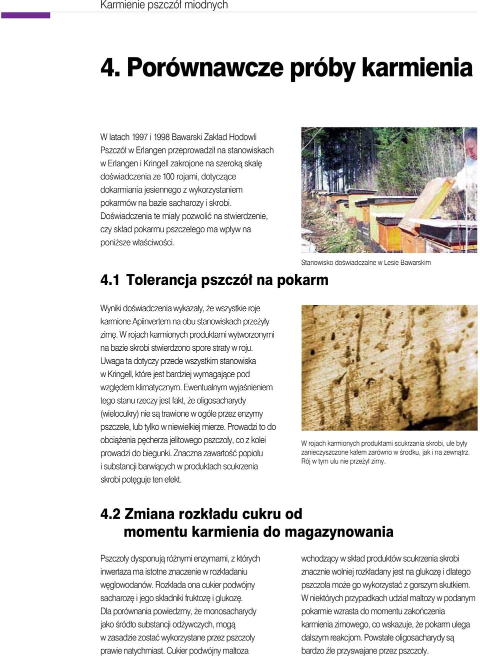 Stanowisko doświadczalne wlesie Bawarskim 4.1 Tolerancja pszczół na pokarm Wyniki doświadczenia wykazały,żewszystkie roje karmione Apiinvertemnaobu stanowiskachprzeżyły zimę.