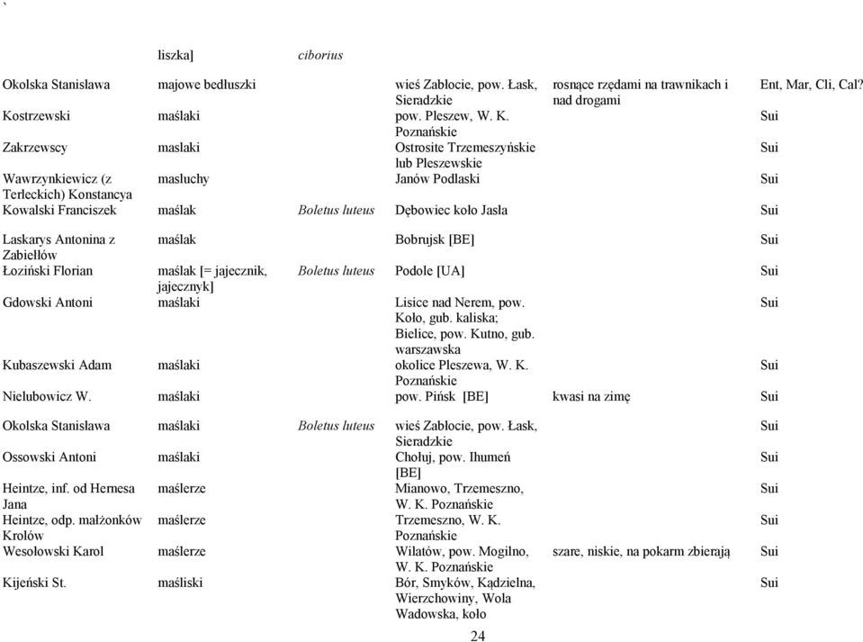 Sui Zakrzewscy maslaki Ostrosite Trzemeszyńskie Sui lub Pleszewskie Wawrzynkiewicz (z masluchy Janów Podlaski Sui Terleckich) Konstancya Kowalski Franciszek maślak Boletus luteus Dębowiec koło Jasła