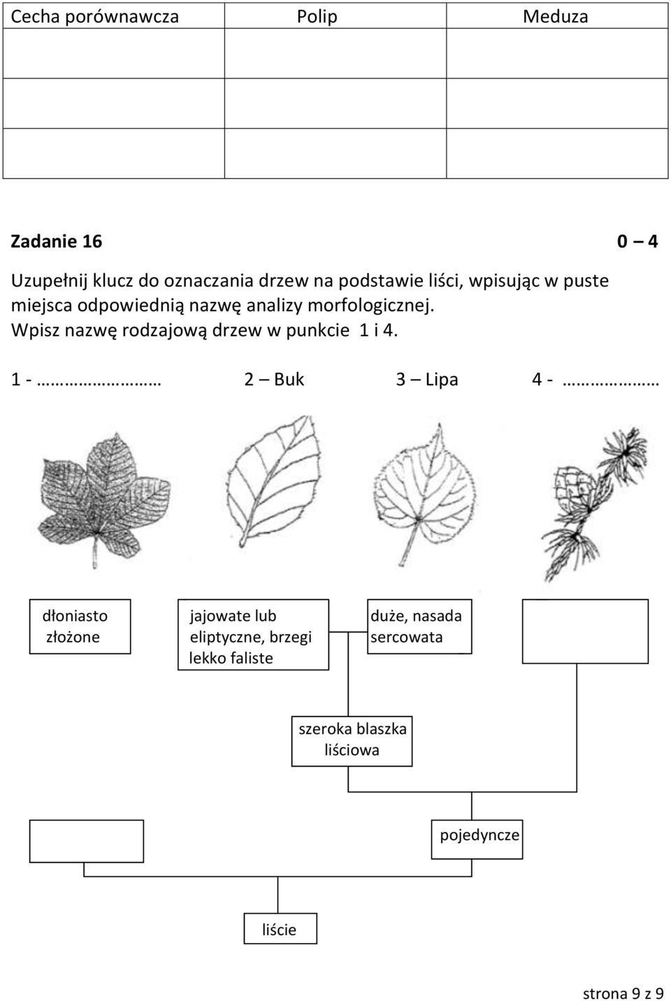 Wpisz nazwę rodzajową drzew w punkcie 1 i 4.