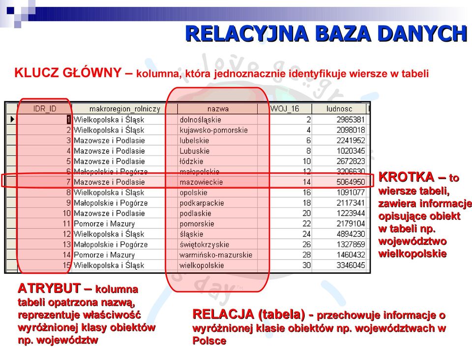 województwo wielkopolskie ATRYBUT kolumna tabeli opatrzona nazwą, reprezentuje właściwość