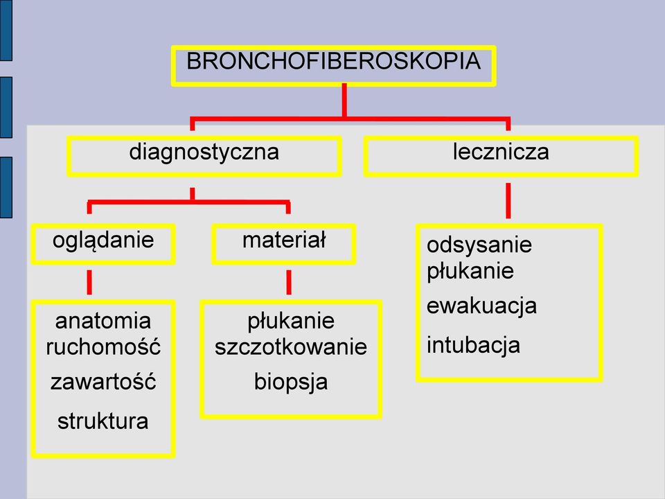 płukanie anatomia ruchomość zawartość