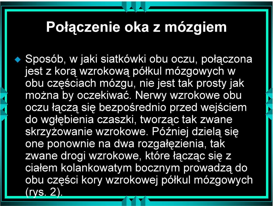 Nerwy wzrokowe obu oczu łączą się bezpośrednio przed wejściem do wgłębienia czaszki, tworząc tak zwane skrzyżowanie