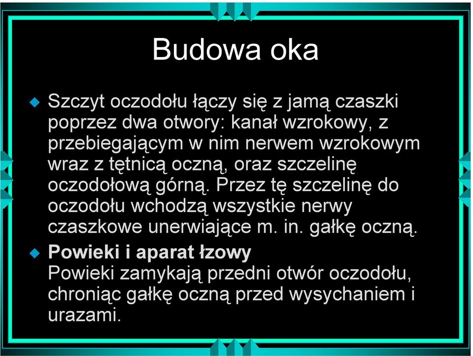 Przez tę szczelinę do oczodołu wchodzą wszystkie nerwy czaszkowe unerwiające m. in. gałkę oczną.