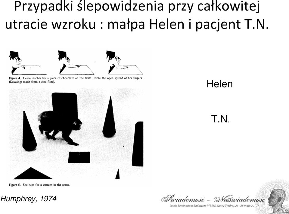 wzroku : małpa Helen i