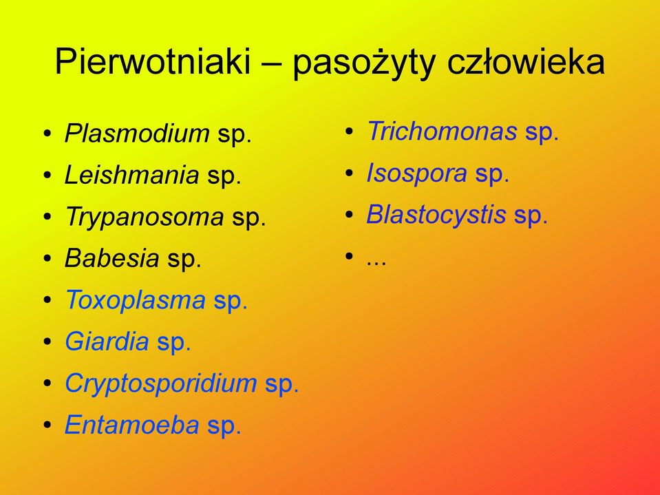 Toxoplasma sp. Giardia sp. Cryptosporidium sp.