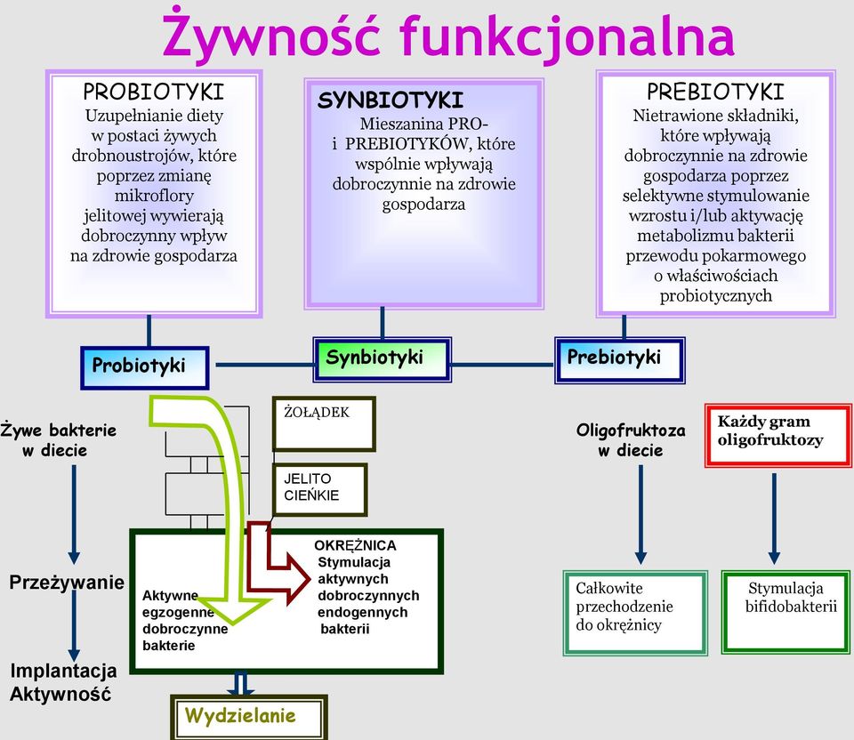 wzrostu i/lub aktywację metabolizmu bakterii przewodu pokarmowego o właściwościach probiotycznych Probiotyki Synbiotyki Prebiotyki Żywe bakterie w diecie ŻOŁĄDEK Oligofruktoza w diecie Każdy gram