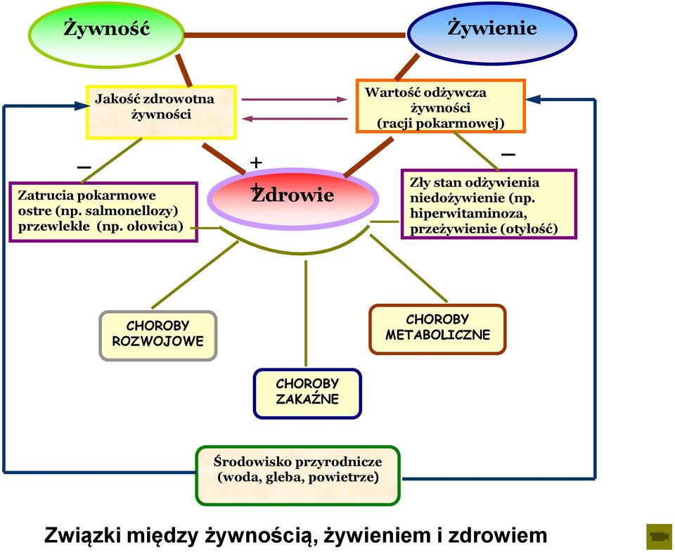 ołowica) + + Zdrowie Wartość odżywcza żywności (racji pokarmowej) Zły stan odżywienia niedożywienie