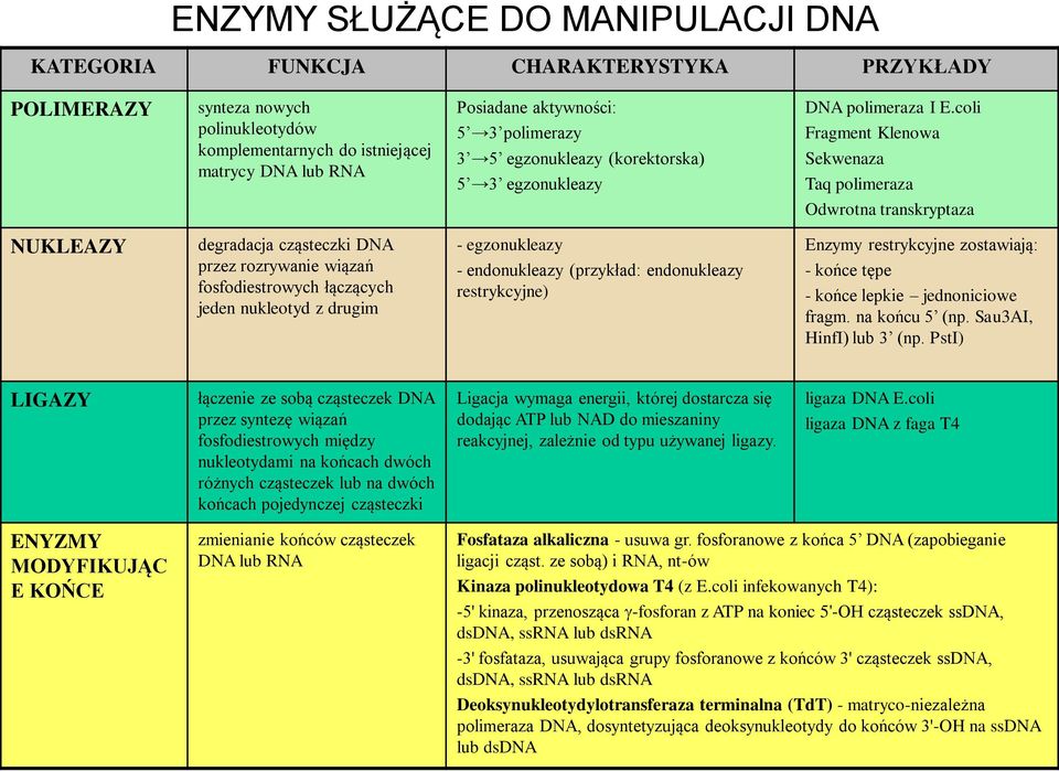 coli Fragment Klenowa Sekwenaza Taq polimeraza Odwrotna transkryptaza NUKLEAZY degradacja cząsteczki DNA przez rozrywanie wiązań fosfodiestrowych łączących jeden nukleotyd z drugim - egzonukleazy -