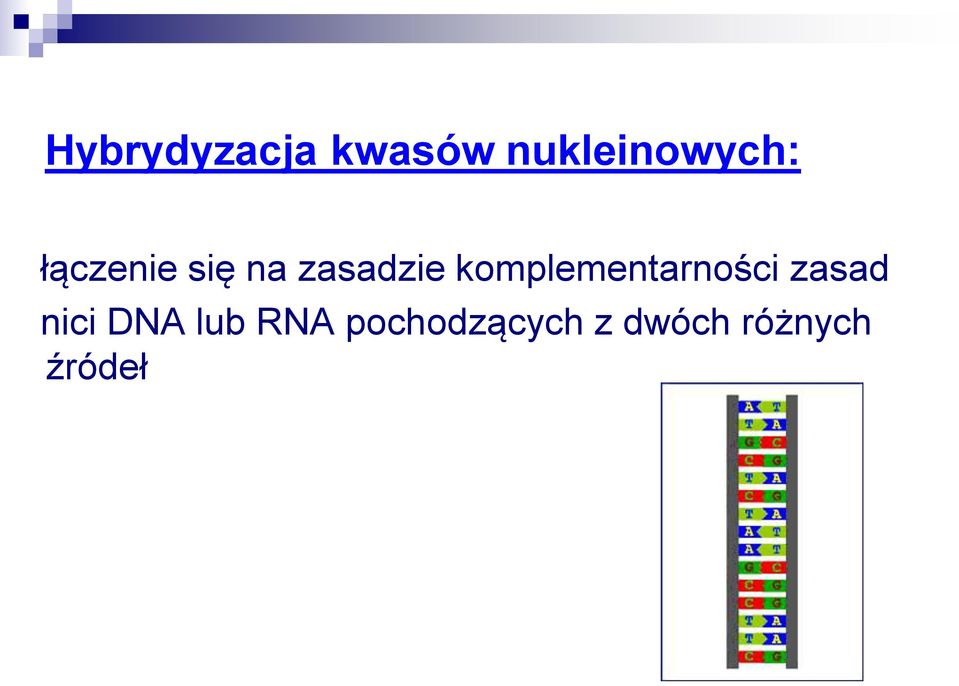 komplementarności zasad nici DNA