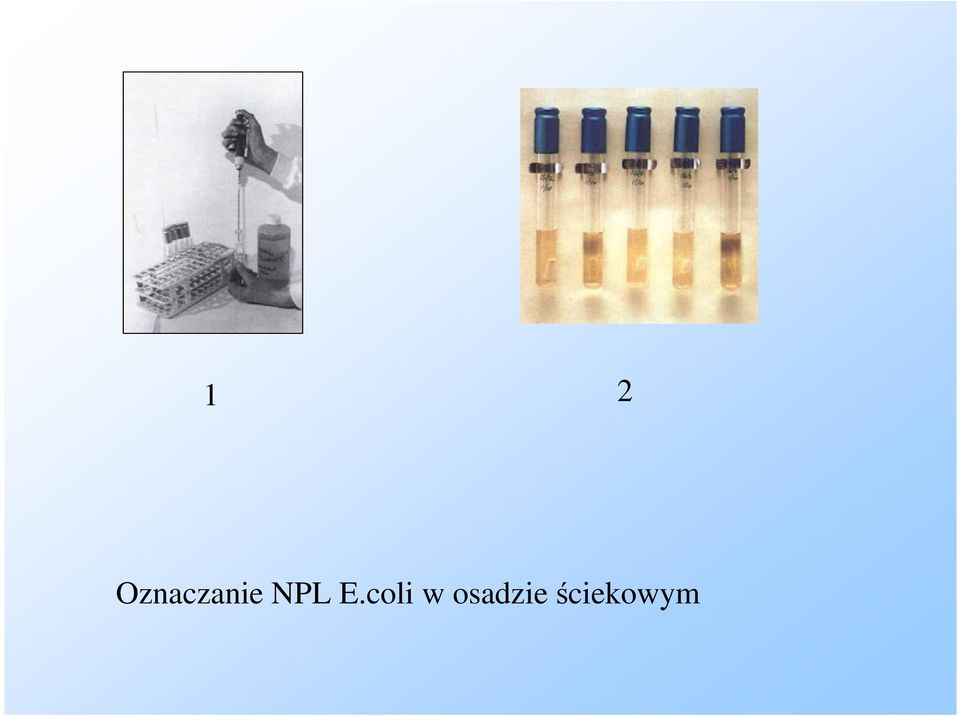 NPL E.