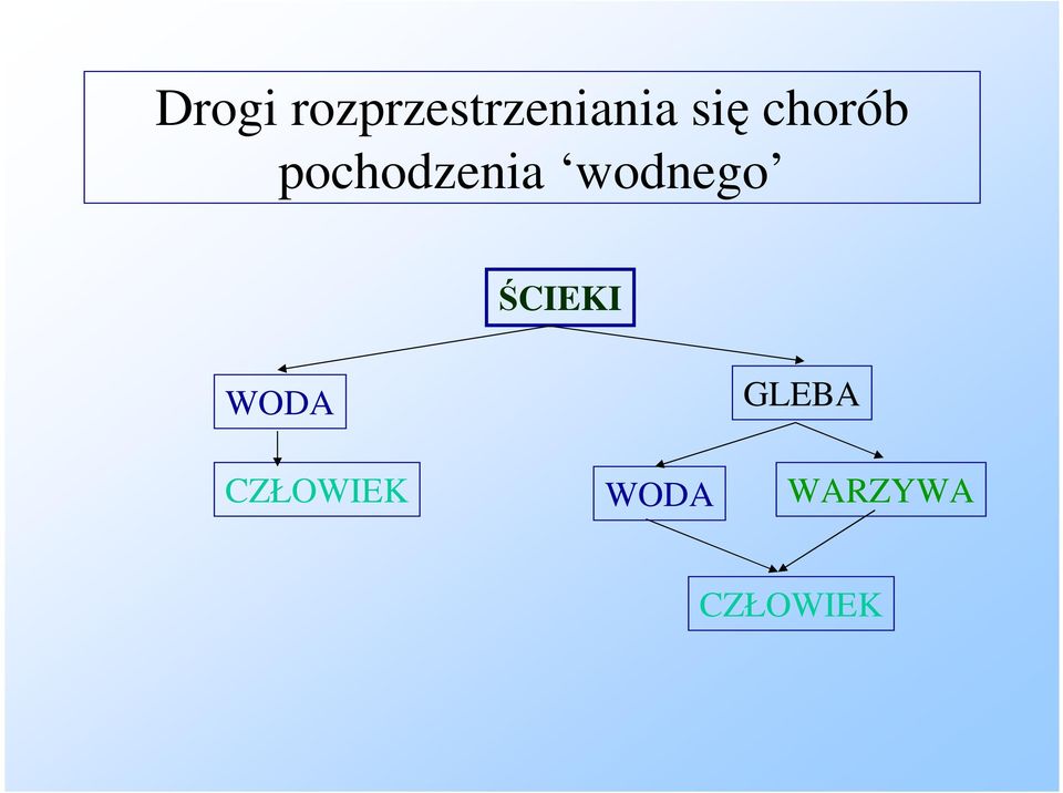 wodnego CIEKI WODA GLEBA