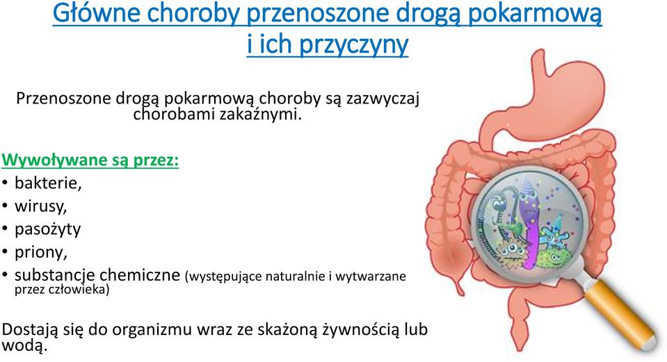 Wywoływane są przez: bakterie, wirusy, pasożyty priony substancje chemiczne