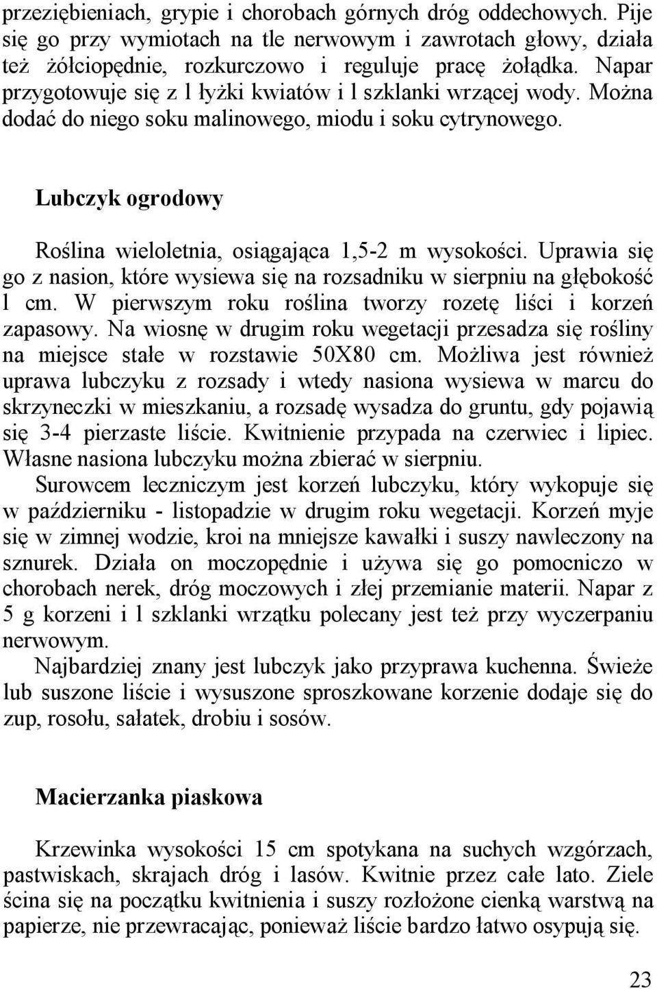 Uprawia się go z nasion, które wysiewa się na rozsadniku w sierpniu na głębokość l cm. W pierwszym roku roślina tworzy rozetę liści i korzeń zapasowy.