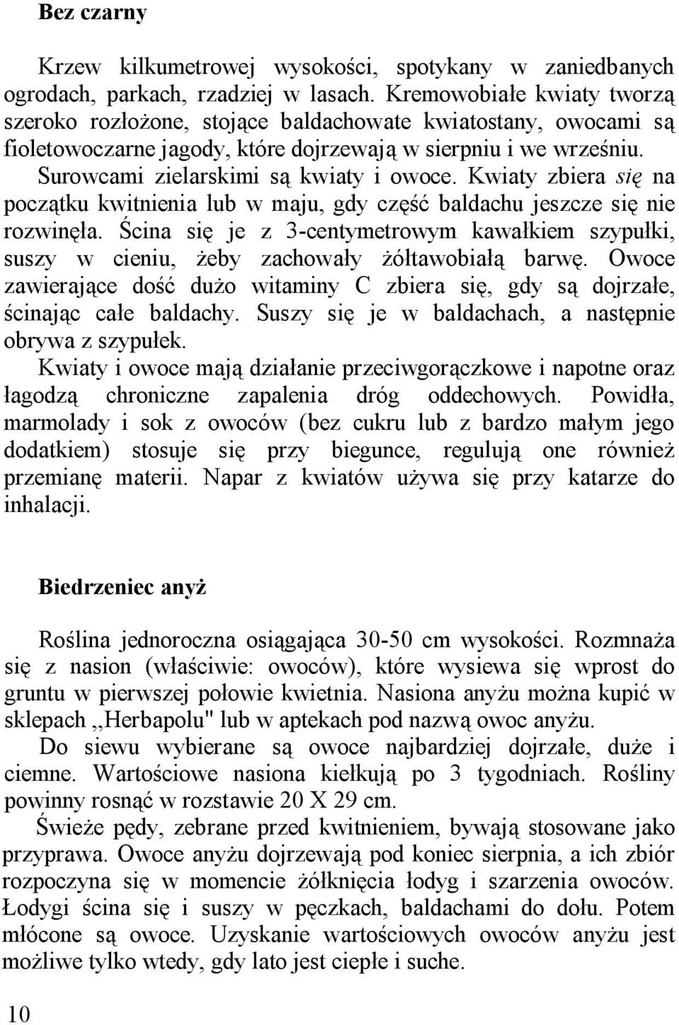 Kwiaty zbiera się na początku kwitnienia lub w maju, gdy część baldachu jeszcze się nie rozwinęła. Ścina się je z 3-centymetrowym kawałkiem szypułki, suszy w cieniu, żeby zachowały żółtawobiałą barwę.