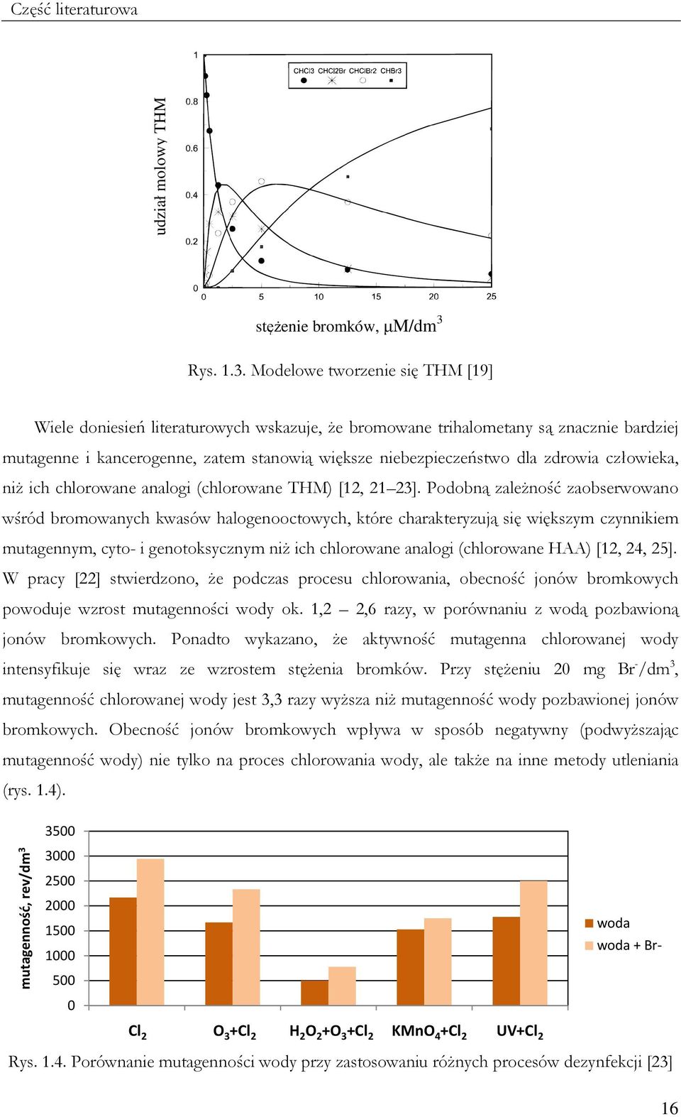 Modelowe tworzenie się THM [19] Wiele doniesień literaturowych wskazuje, Ŝe bromowane trihalometany są znacznie bardziej mutagenne i kancerogenne, zatem stanowią większe niebezpieczeństwo dla zdrowia
