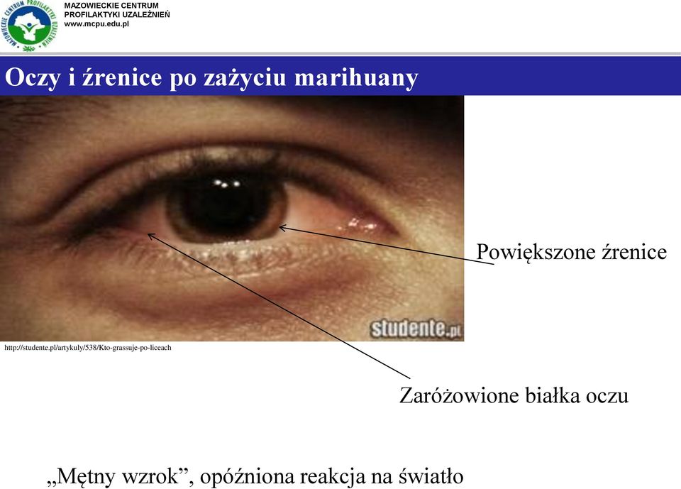 pl/artykuly/538/kto-grassuje-po-liceach