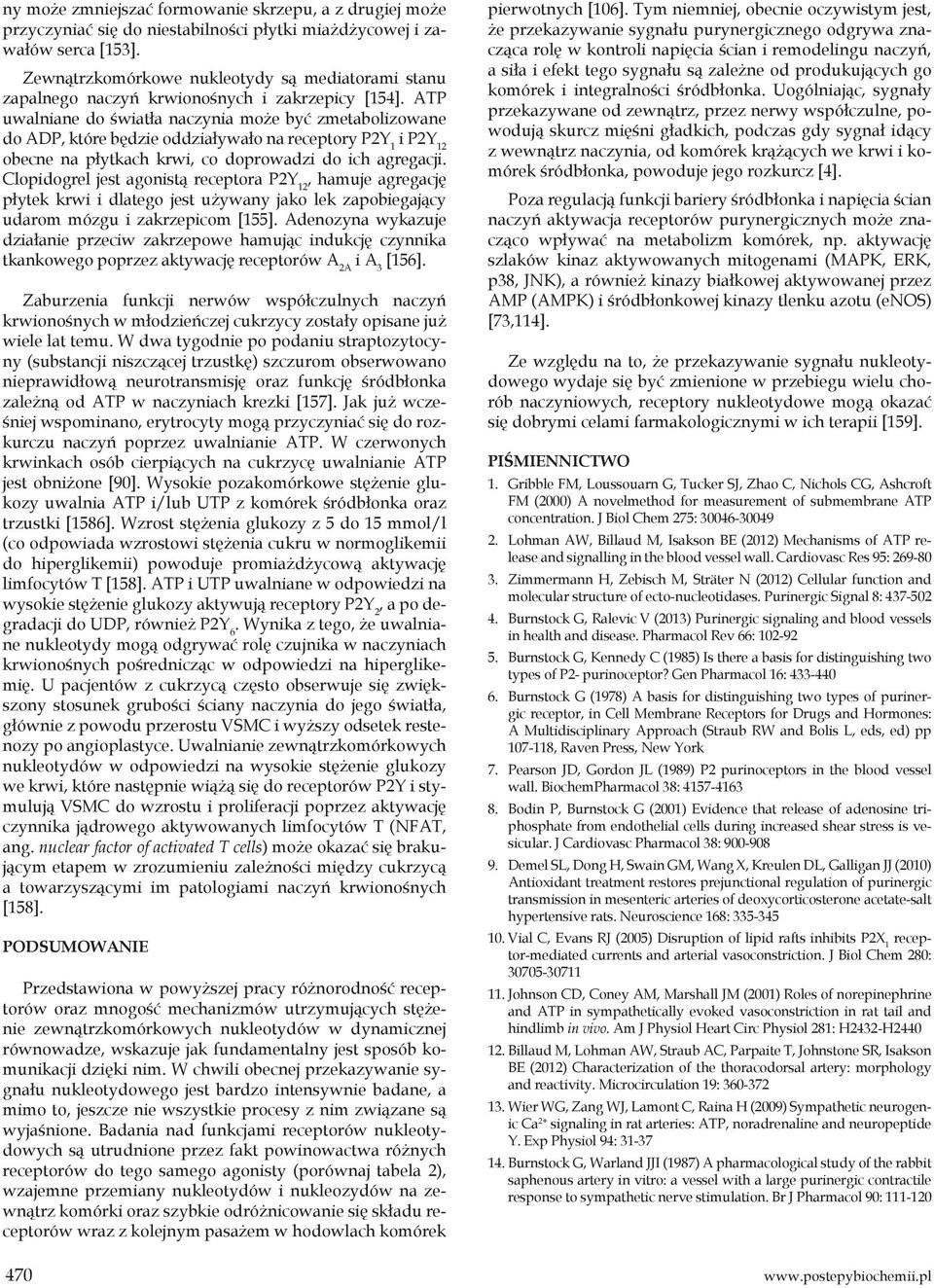 ATP uwalniane do światła naczynia może być zmetabolizowane do ADP, które będzie oddziaływało na receptory P2Y 1 i P2Y 12 obecne na płytkach krwi, co doprowadzi do ich agregacji.